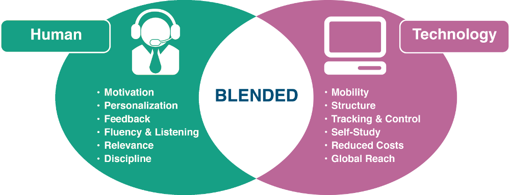 Blended learning language schools LearnCube