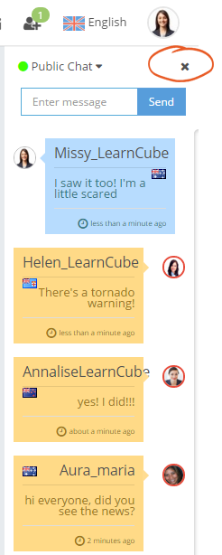 learncube-hide chat