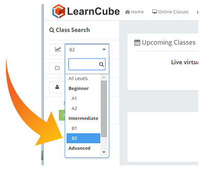 learncube-search_by_level_filter